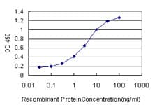 CYTH2 / Cytohesin 2 Antibody (clone 6H5)