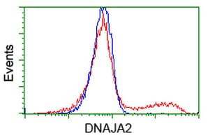 DNAJA2 Antibody (clone OTI3H10)