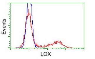 IHC-plus™ LOX / Lysyl Oxidase Antibody (clone 9A11)