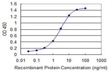 HNRNPA2B1 Antibody (clone 3G11-6A7)