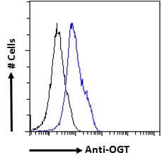 IHC-plus™ OGT / O-GLCNAC Antibody (aa543-555)