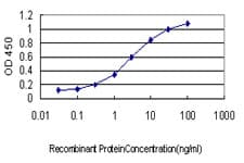 IHC-plus™ IPO5 / RANBP5 Antibody (clone 1C4)
