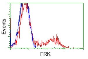 FRK Antibody (clone OTI5G4)