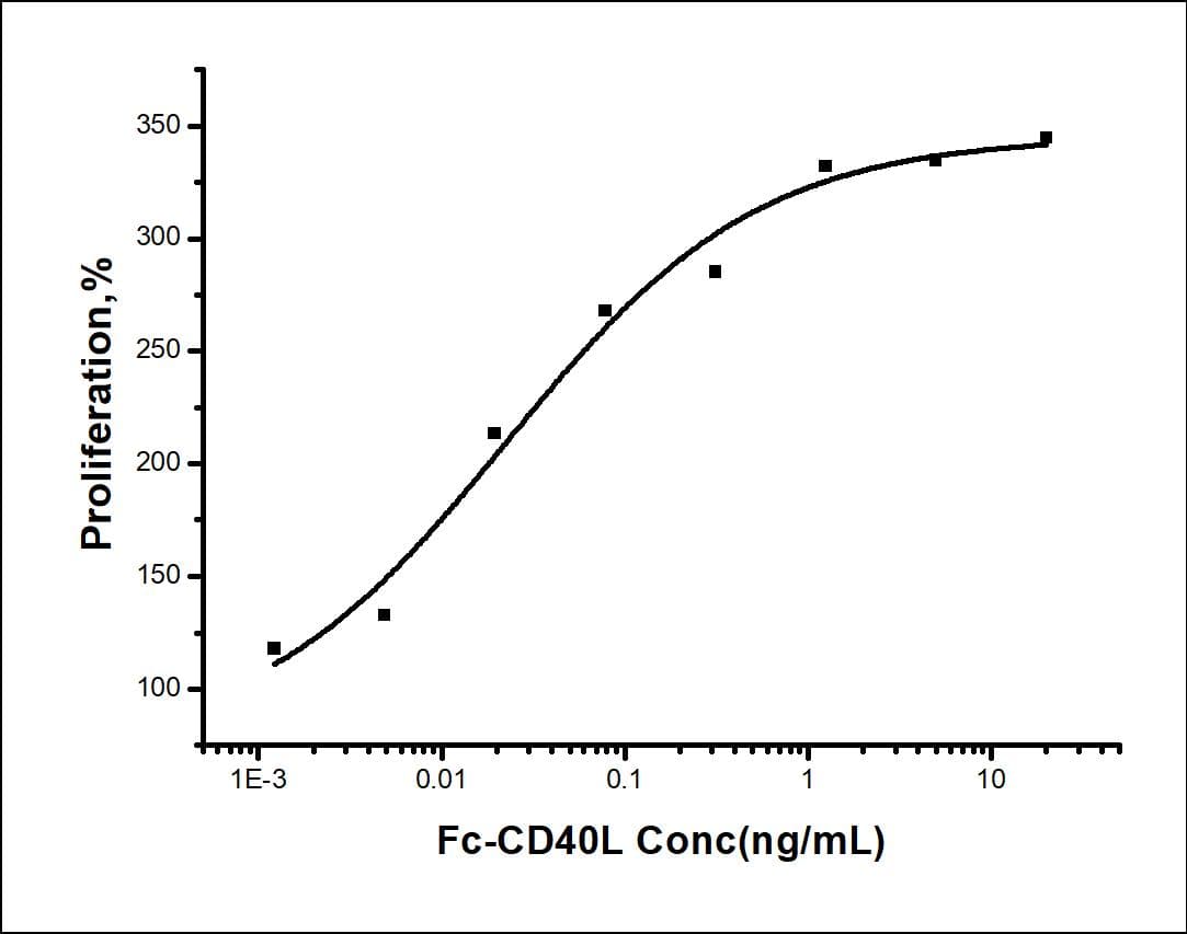 Human CD40L Protein (Recombinant Human IgG1 Fc, N-terminus)
