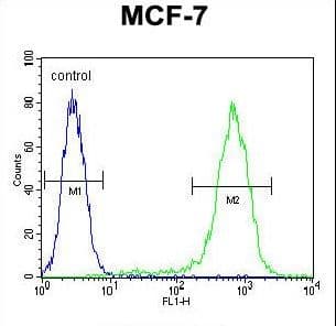 LYSMD4 Antibody (aa33-61)