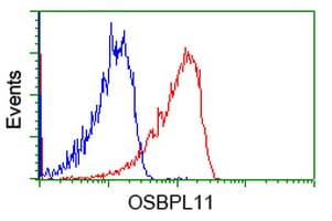 OSBPL11 Antibody (clone OTI6A6)