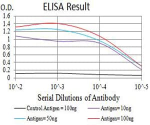 GRM3 / MGLUR3 Antibody (clone 6H10C3)