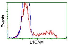 Monoclonal Mouse anti-Human L1CAM Antibody (clone OTI2H5, IHC, IF, WB)