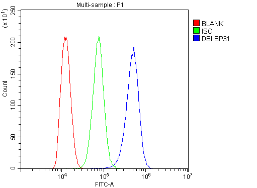DBI / ACBD1 Antibody