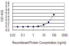 HLA-A Antibody (clone 2D6)