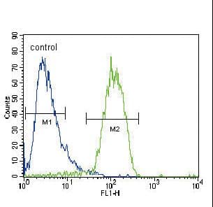 RASGRP1 / RASGRP Antibody (aa495-521)