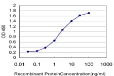 HMG2 / HMGB2 Antibody (clone 3E5)