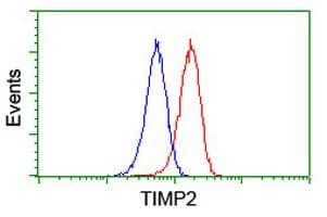TIMP2 Antibody (clone OTI1A6, Carrier-free)