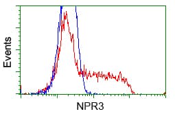 NPR3 Antibody (clone OTI2C2, Carrier-free)