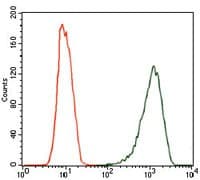 NOS2 / iNOS Antibody (clone 4E5)