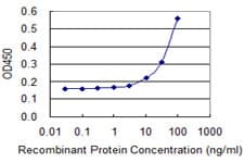 SEPT2 / Septin 2 Antibody (clone 2F8)