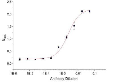 Polyclonal Rabbit anti-Mouse ACTRIIB / ACVR2B Antibody (Extracellular Domain, WB)