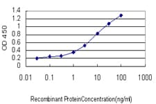 Monoclonal Mouse anti-Human PARP1 Antibody (clone 3G4, IF, WB)