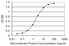 MYL2 Antibody (clone 3B9-B4)