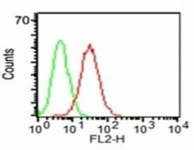 CD34 Antibody (clone HPCA1/1171)