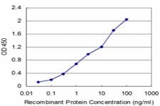 Monoclonal Mouse anti-Human FADD Antibody (clone 3C3, WB)