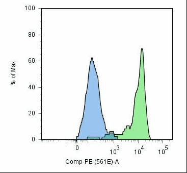 Monoclonal Mouse anti-Human FOLH1 / PSMA Antibody (clone GCP-05)