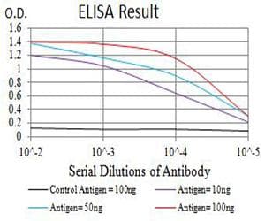 Monoclonal Mouse anti-Human GRIK4 / KA1 Antibody (clone 8H5G5, IHC, WB)