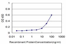 Monoclonal Mouse anti-Human CSE1L Antibody (clone 3D8, IF, WB)
