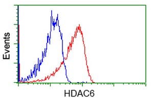 HDAC6 Antibody (clone OTI4C5)