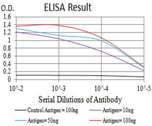 ITGB4 / Integrin Beta 4 Antibody (clone 1D6B4)