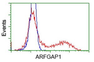 ARFGAP1 Antibody (clone OTI2C6)