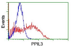 PPIL3 Antibody (clone OTI1G3)