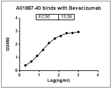 VEGFA / VEGF Antibody