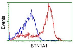 BTN1A1 Antibody (clone OTI7B5)