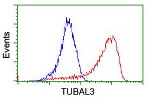 TUBAL3 Antibody (clone OTI4D8)