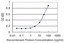 Monoclonal Mouse anti-Human ETS1 / ETS-1 Antibody (clone 2G10, IF, WB)