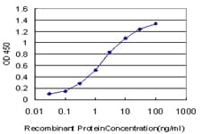 TCF7L2 / TCG4 Antibody (clone 3A4)