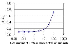 Monoclonal Mouse anti-Human CA4 / Carbonic Anhydrase IV Antibody (clone 4G6, WB)