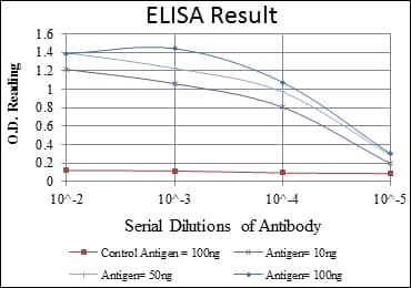 CDK9 Antibody (clone 1B5A7)