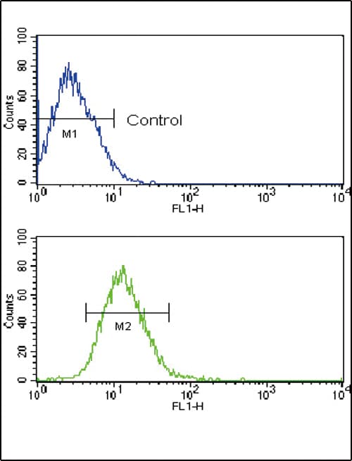 TLR2 Antibody (aa212-242)