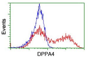 DPPA4 Antibody (clone OTI1E1)