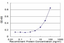 PathPlus™ Alpha-1-Antichymotrypsin Antibody (clone 1C10)