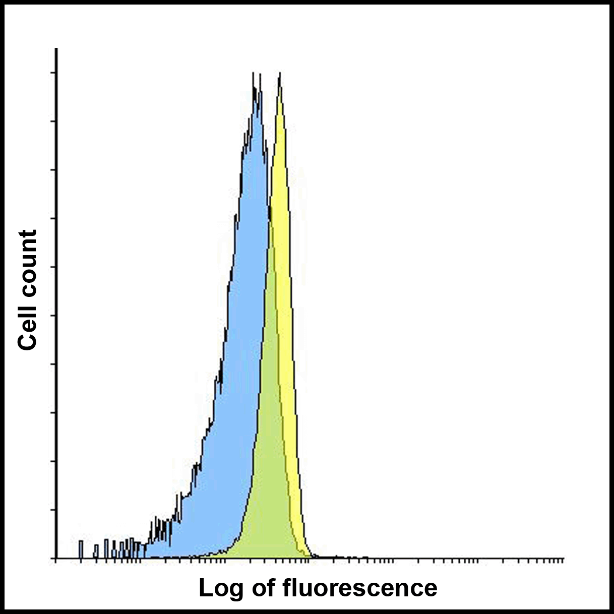 LAG3 Antibody (clone 6D1)