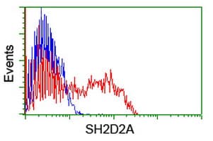 SH2D2A Antibody (clone OTI6G1)