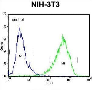 HOMEZ Antibody (aa158-186)