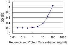 GPX5 Antibody (clone 3B9)