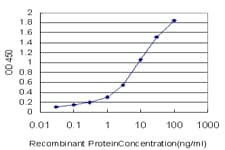 Monoclonal Mouse anti-Human STX6 / Syntaxin 6 Antibody (clone 1G2, IF, WB)