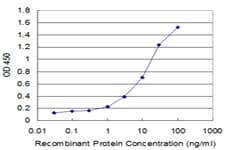 Monoclonal Mouse anti-Human CREBL1 / ATF6B Antibody (clone 4D10, IF, WB)