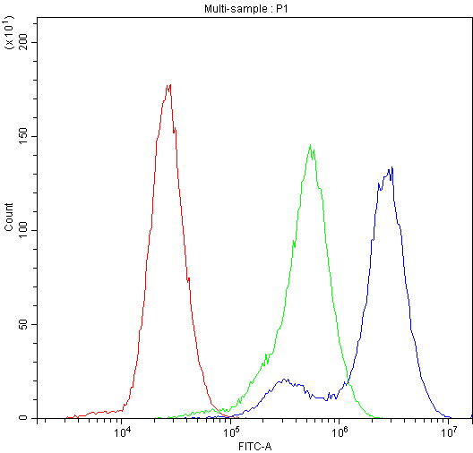 Polyclonal Rabbit anti-Human CFI / Complement Factor I Antibody (IHC, WB)