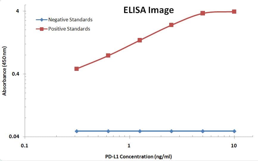 CD274 / B7-H1 / PD-L1 Antibody (aa19-239, clone OTI13G7)